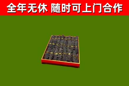 中卫市回收海参